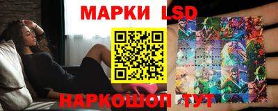 гидра Будённовск