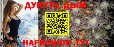 гидра Будённовск