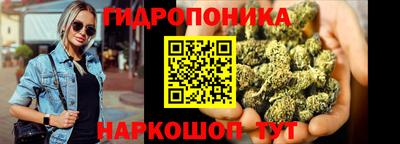 гидра Будённовск