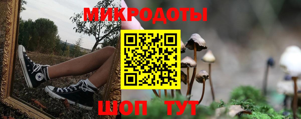 Галлюциногенные грибы GOLDEN TEACHER  Галлюциногенные грибы Cubensis  Тихвин  Вход с VPN 
