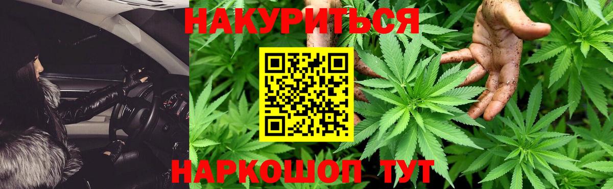 Каннабис семена Тихвин